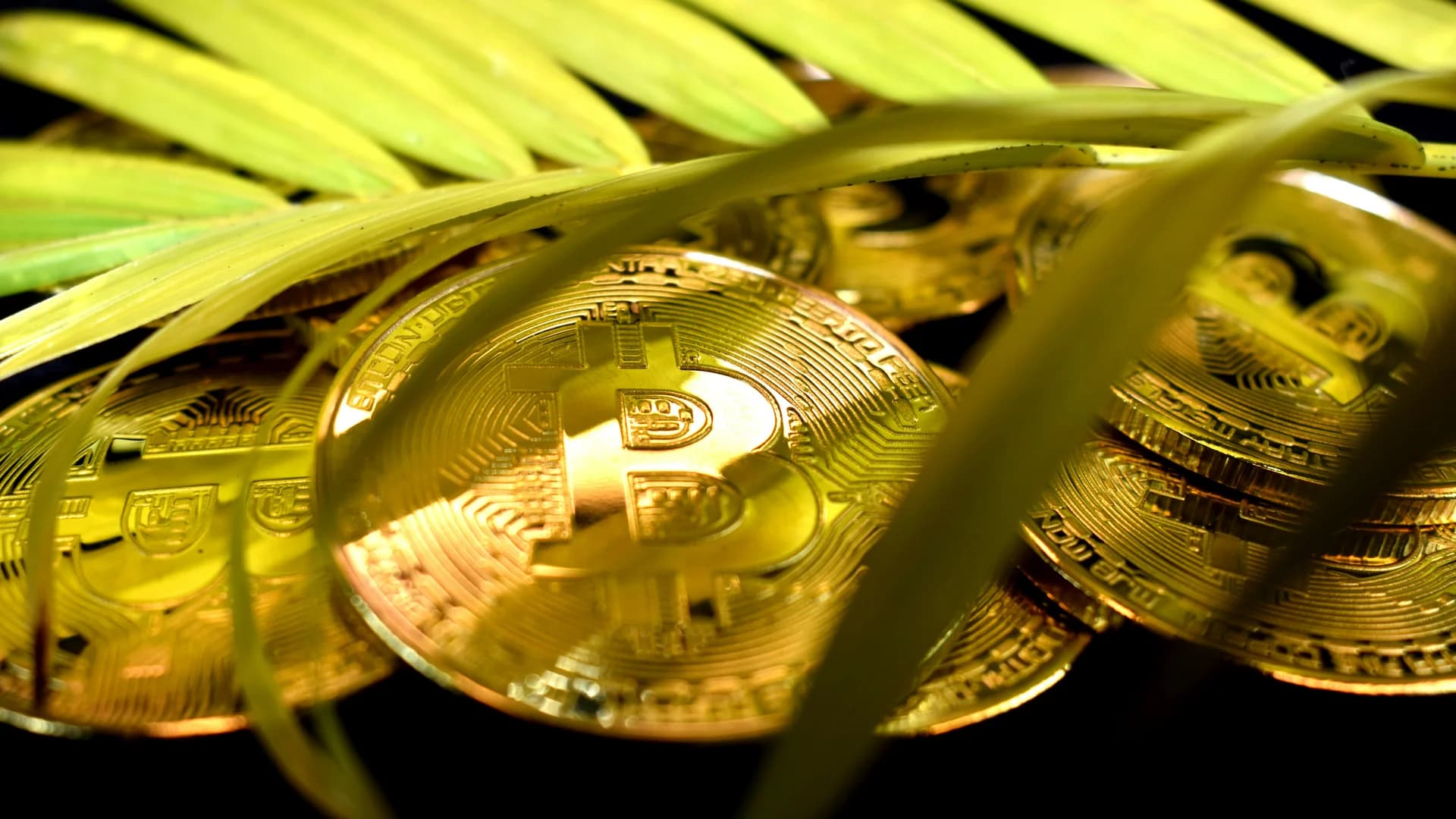 Digital Asset PARITY Act Skips Bitcoin