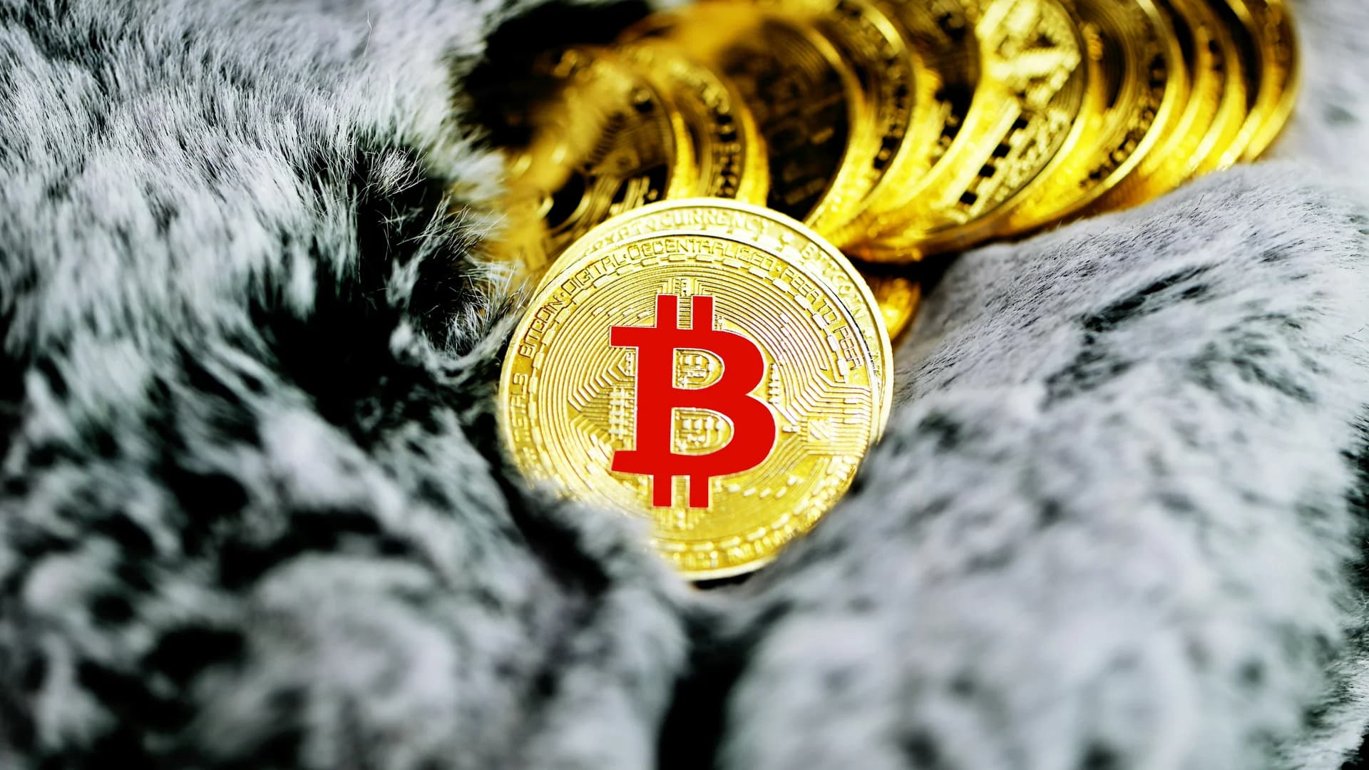 Ark Invest Dumps Meta, Nvidia, Bitcoin ETF Shares